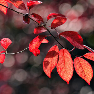 محصل تست امیر 5